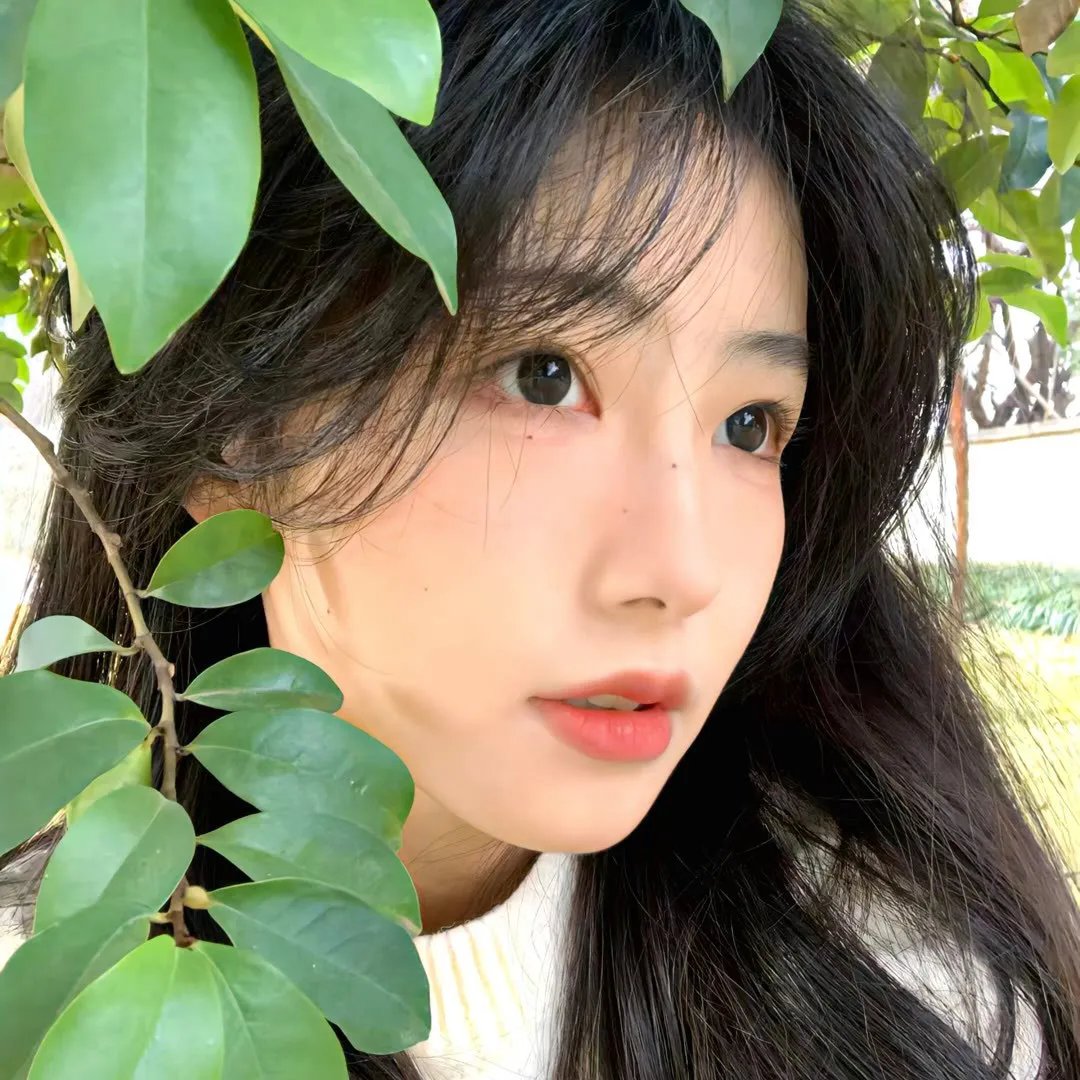 小白菜奇案