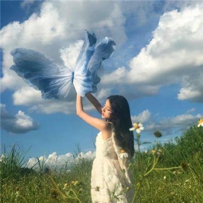 齐姆与友